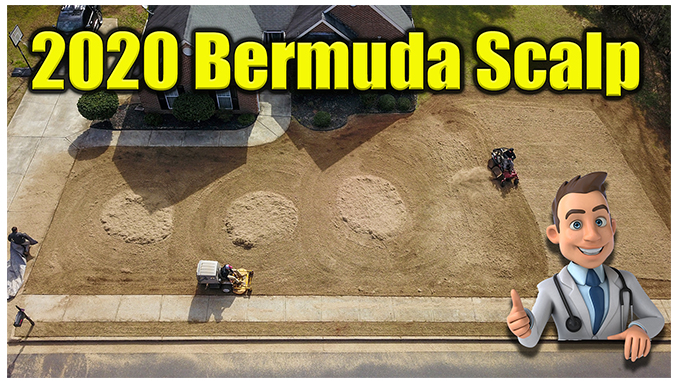 scalping bermuda lawn