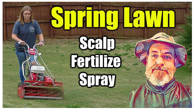 spring lawn care