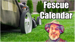 fescue lawn calendar