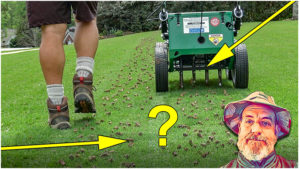 how to aerate lawn