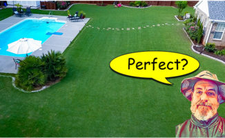 Perfect Green lawn