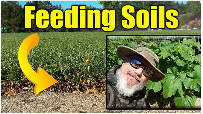 feeding soil lawn and garden