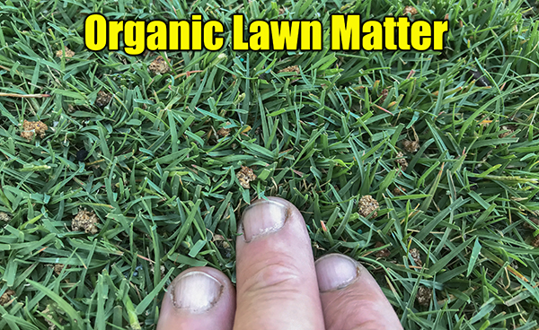 organic lawn matter for microbes