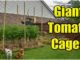 how to make tomato cages