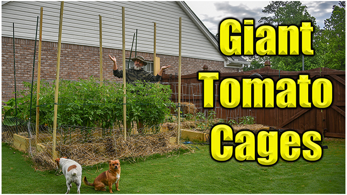 How to Make Tomato Cages