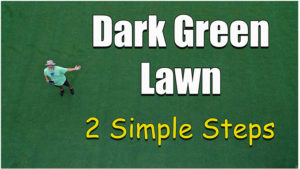 dark green lawn
