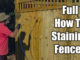 how to stain fences