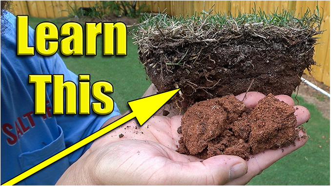 improve lawn soil humichar