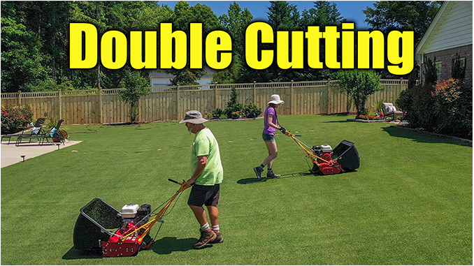 Double Reel Mowing Bermuda Lawns Lawn Care