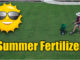 summer lawn fertilizer