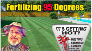 hot weather lawn care
