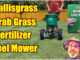 kill dallisgrass bermuda lawn