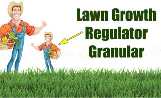 lawn growth regulator