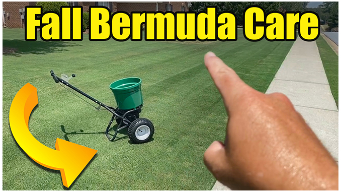 fall bermuda lawn care