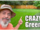 crazy green fall lawn