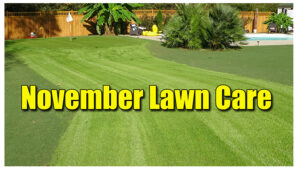 november lawn care