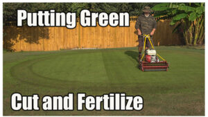 reel mowing putting greens