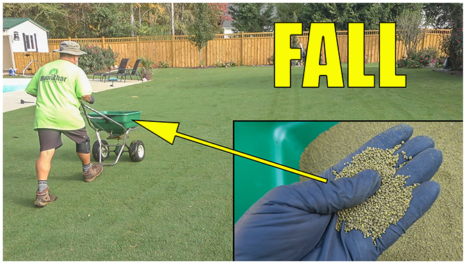 fall lawn preemergent