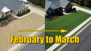 february and march lawn care