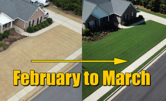 february and march lawn care