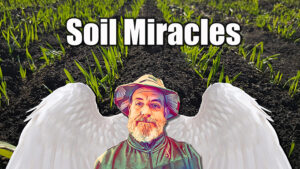 soil microbes and carbon