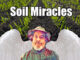 soil microbes and carbon