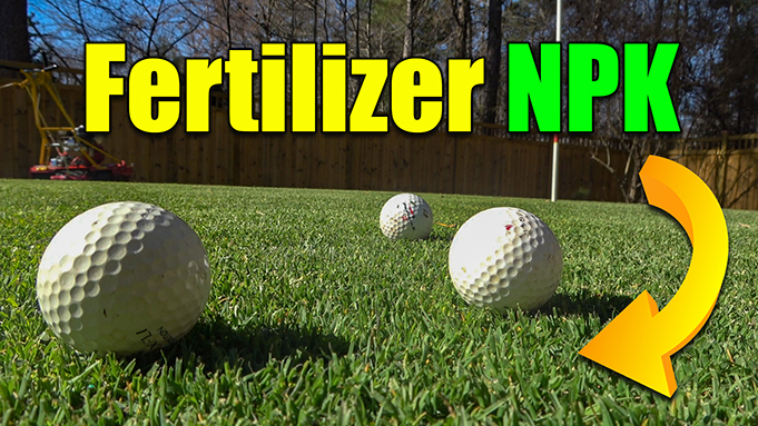 best lawn npk ratio