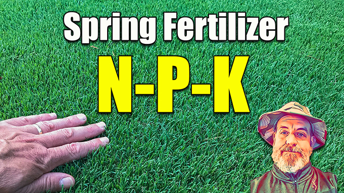 Best NPK Ratios for Spring Lawns