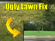 fix ugly lawn full of weeds