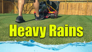 heavy rains lawn care