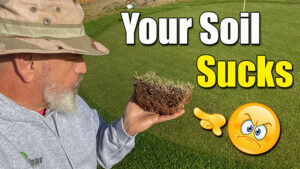 improve lawn soil spray supplements