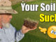 improve lawn soil spray supplements
