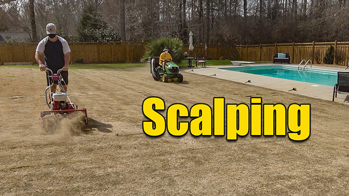 scalping bermuda lawn