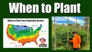 when to plant vegetable garden
