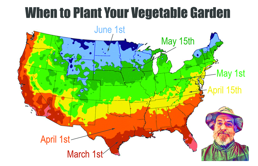 when to plant your vegetable garden 