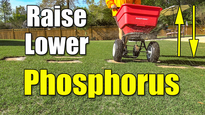 raise lawn phosphorous