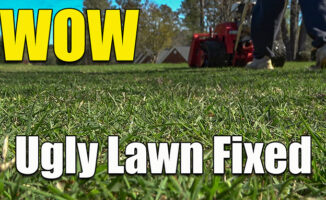 reel mowing fixed ugly lawn