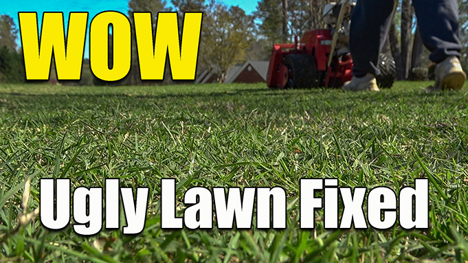 reel mowing fixed ugly lawn