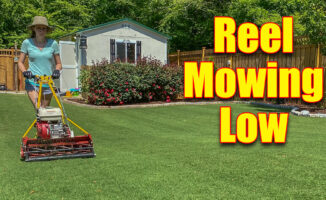 reel mowing lawn low