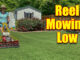 reel mowing lawn low