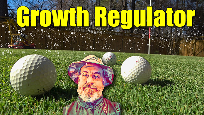 lawn growth regulator