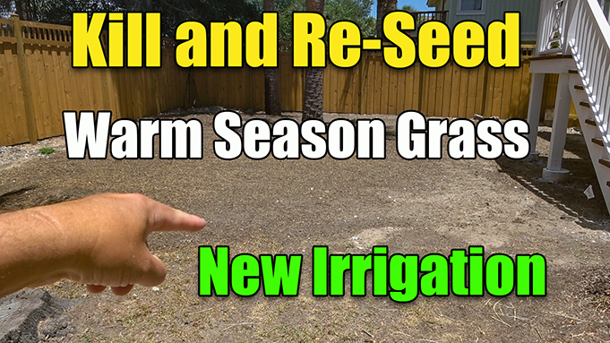 reseeding warm season grass