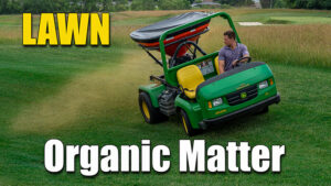 lawn organic matter fertilizer