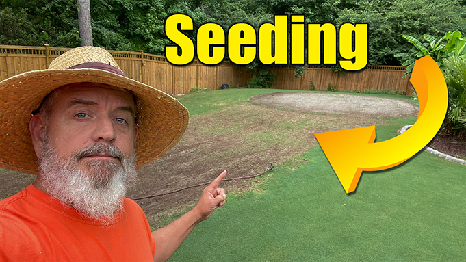 lawn seeding bermuda grass