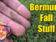fall bermuda lawn products