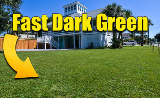 dark green lawn