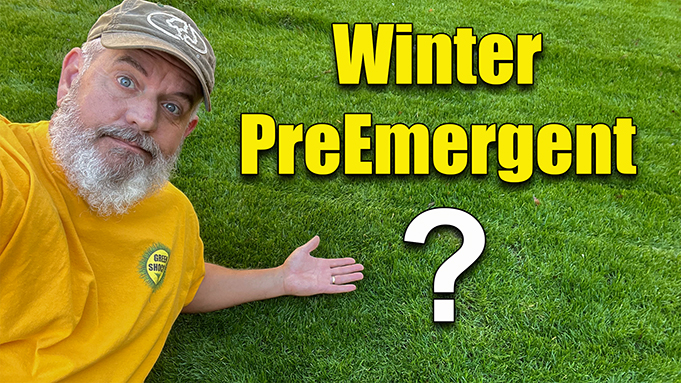 lawn winter pre emergent