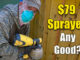 staining wood fence with sprayer