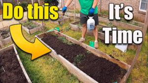prepare vegetable garden soil