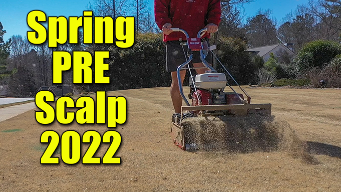 scalping bermuda lawn